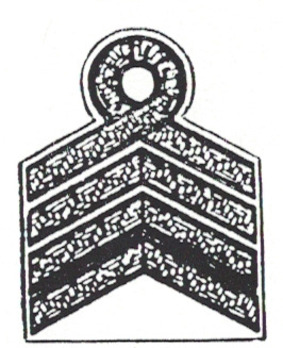 RAD Obergeneralarbeitsführer Sleeve Rank Insignia Obverse