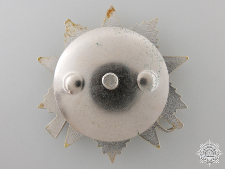 Order of Alexander Nevsky II Class Medal Reverse 