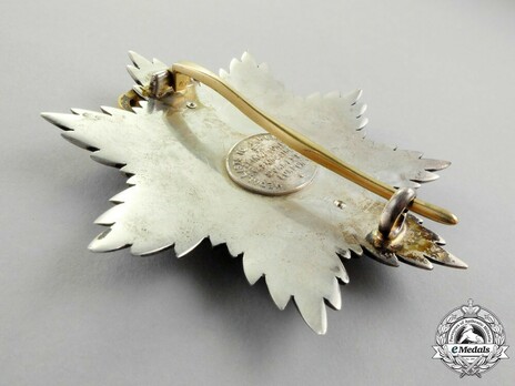 Royal Order of George I, Military Division, Grand Cross Breast Star Reverse