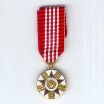 Miniature Abu Dhabi Defence Force Medal Obverse