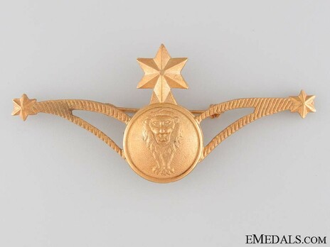 Air Force Navigator's Wings Badge Obverse