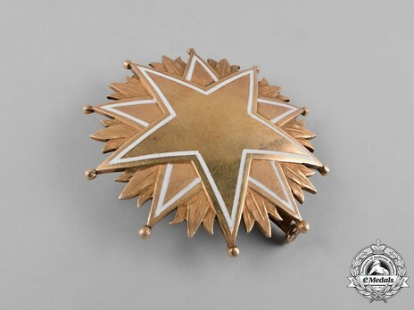 Grand Officer Breast Star Obverse