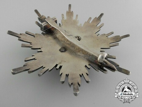 Order of the Double Dragon, Type II, II Class, III Grade Star Reverse