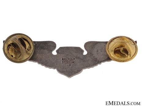 Basic Wings (reduced size, with sterling silver) Reverse