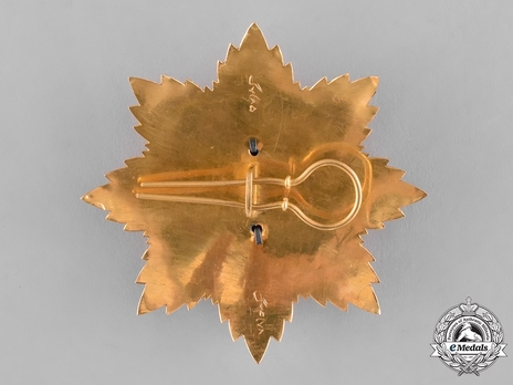  Order of the Star (Nishan-i-Astour), Type II, I Class Reverse