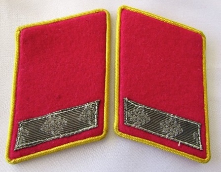 NSDAP Mitarbeiter Type III Reich Level Collar Tabs Obverse