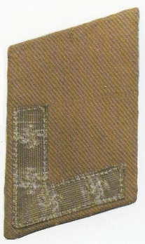 NSDAP Blockwart Type I Collar Tabs Obverse