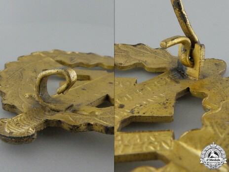 SA Sports Badge, Type III, in Gold Reverse Detail