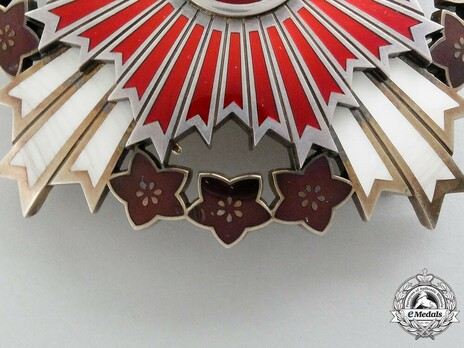 Order of the Rising Sun, Grand Cordon Breast Star Obverse Detail