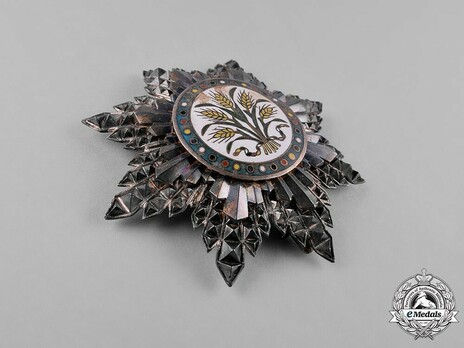 Order of the Golden Grain, II Class Star Obverse