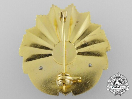 Order of Labour, I Class Breast Star (1965-1989) Reverse
