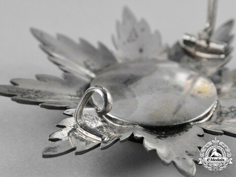Order of Philip the Magnanimous, Type II, Grand Cross Breast Star (in silver gilt) Catch