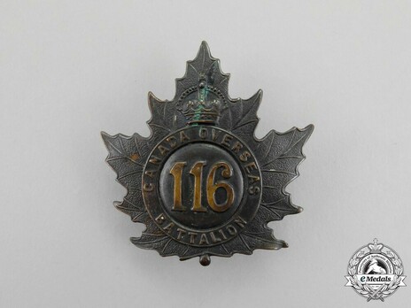 116th Infantry Battalion Other Ranks Cap Badge Obverse