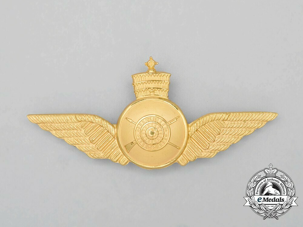 Air+force+flight+engineers+wing+1