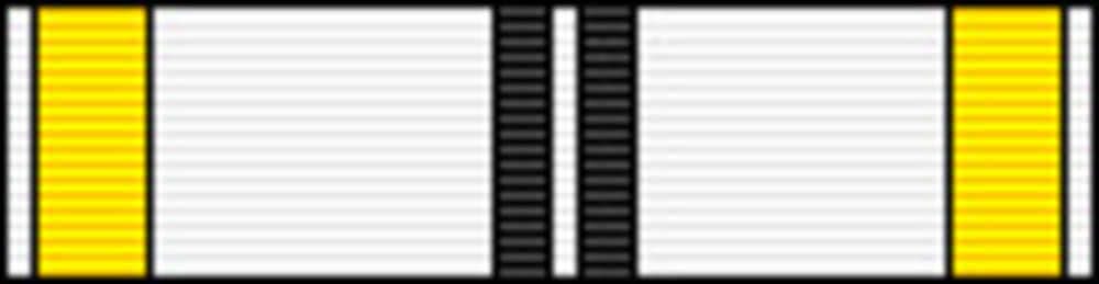 Architecture ribbon