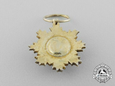 Miniature Order of the Striped Tiger, I Class Star Reverse