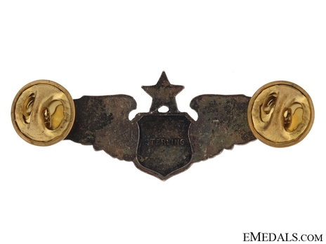 Senior Wings (reduced size) Reverse