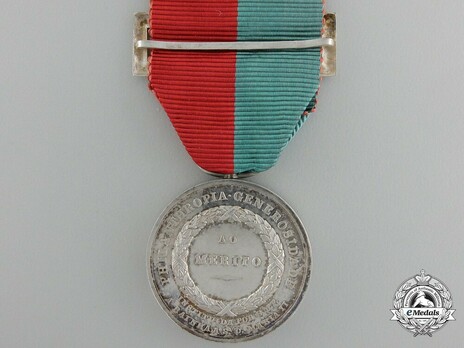 Silver Medal Reverse