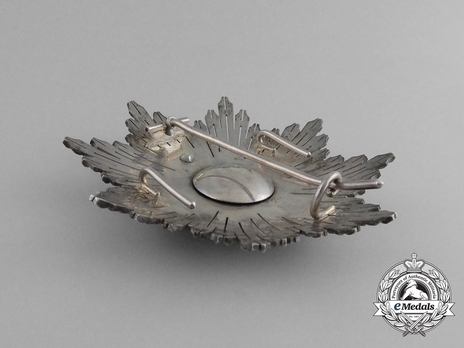 2nd Class Breast Star (red distincion) (with Fleur de Lys and Royal Crown) Reverse