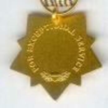 Miniature Gold Star Reverse
