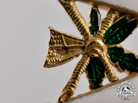 Officer (Gold) Details