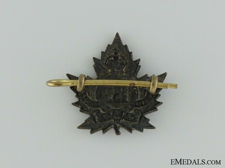 133rd Infantry Battalion Other Ranks Collar BadgeOther Ranks Collar Badge Reverse