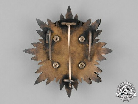 Order of the Golden Kite, I Class Breast Star Reverse