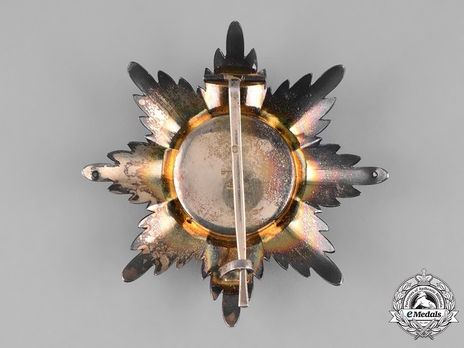 Order of Saint Alexander Nevsky, Type III, Civil Division, Breast Star (in silver) Reverse