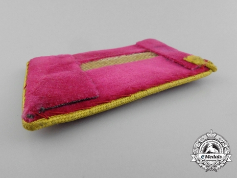 NSDAP Ober-Befehlsleiter Type IV Reich Level Collar Tabs Reverse
