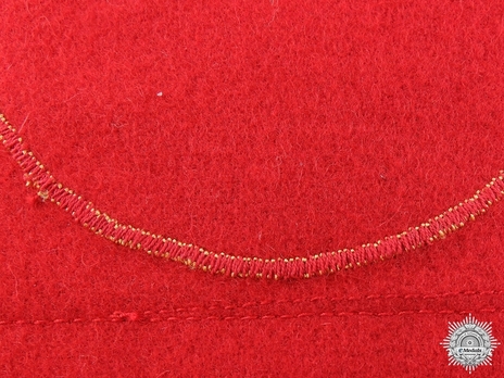 NSDAP Leiter eines Amtes Type II Kreis Level Armband Detail