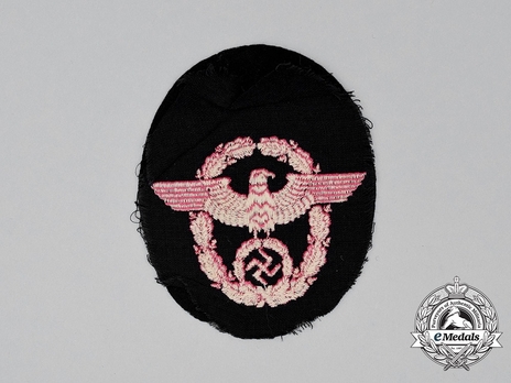 Firefighters Enlisted Ranks Blue Uniform Volunteers Sleeve Eagle Reverse