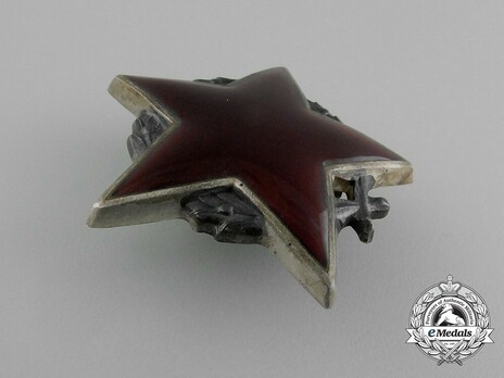 Order of the Partisan Star, II Class Obverse