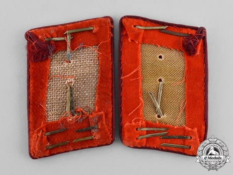 NSDAP Haupt-Abschnittsleiter Type IV Gau Level Collar Tabs Reverse
