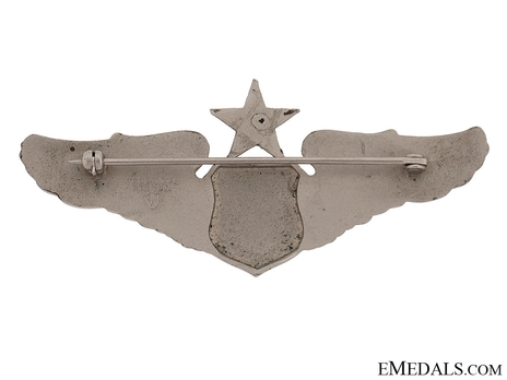 Senior Wings (with silvered brass) Reverse