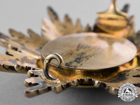 Order of the Red Eagle, Type V, Civil Division, Grand Cross Breast Star (in silver gilt) Catch