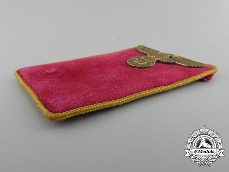 NSDAP Politischer Leiter-Anwärter (Parteimitglied) Type IV Reich Level Collar Tabs Obverse