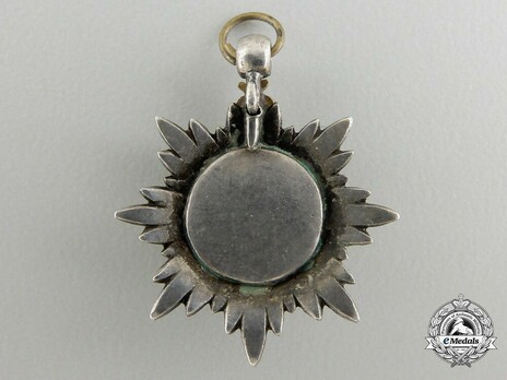 Miniature Commander Breast Star (with 8 rays) (Gold) Reverse
