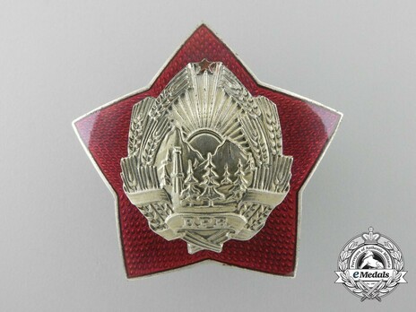Order for Special Merit in the Defence of the State and Social Order, II Class Breast Star (1958-1965) Obverse