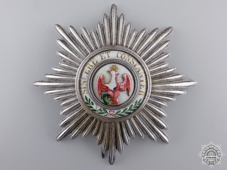 Order of the Red Eagle, Type III, I Class Breast Star (without coat of arms) Obverse