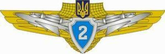 Compulsory Military Service Airforce 2nd Grade Badge Obverse