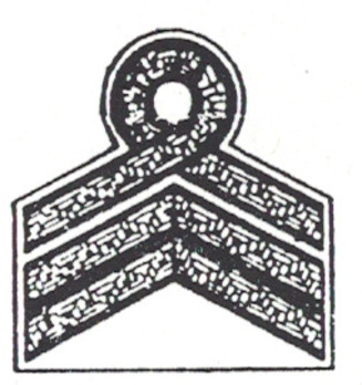 RAD Arbeitsführer Sleeve Rank Insignia Obverse