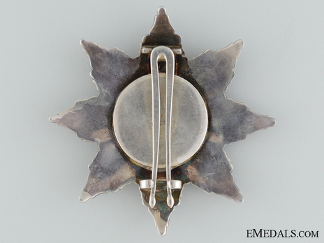 Grand Knight Breast Star Reverse
