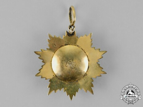 High Order of Sayyid Muhammad ibn Ali al-Sanussi, Grand Cordon Reverse