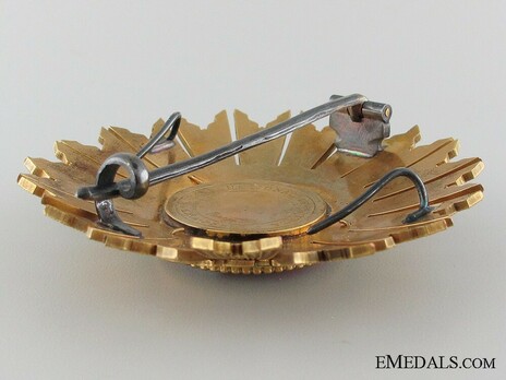 Grand Cross Breast Star (by Casa Nacional de la Modena) Reverse