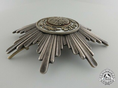Order of St. Alexander, Type I, II Class Grand Cross Breast Star Obverse