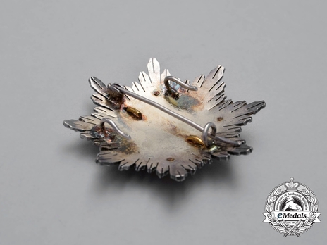 2nd Class Breast Star (white distinction) Reverse
