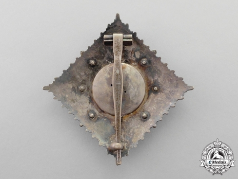 Order of the Red Eagle, Type V, Military Division, II Class Breast Star (in silver gilt) Reverse