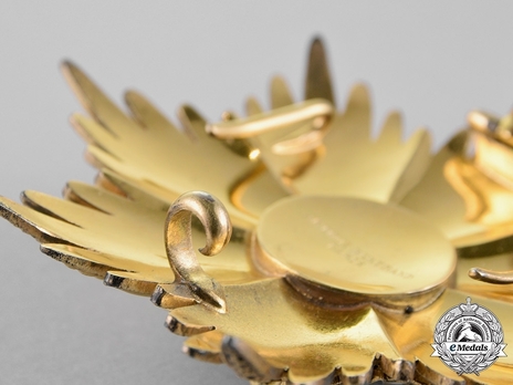 Grand Cordon Breast Star Reverse Detail