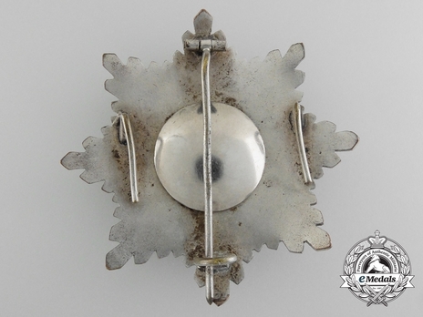 Breast Star (for Senior Officers) (bronze silvered) Reverse