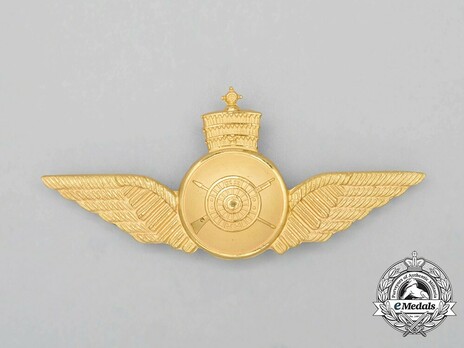 Air Force Flight Engineers Wing Obverse